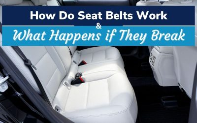 How Do Seat Belts Work and What Happens if They Break